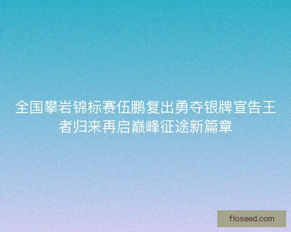 全国攀岩锦标赛伍鹏复出勇夺银牌宣告王者归来再启巅峰征途新篇章